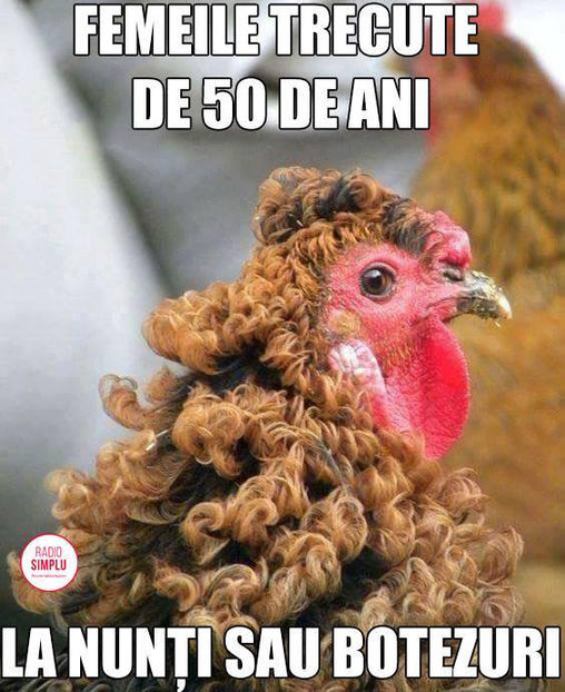 Femei peste 50 ani - Funny