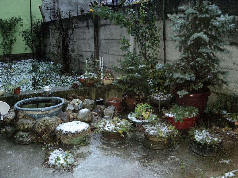 ...la revedere vara... - CURTE SI GRĂDINĂ