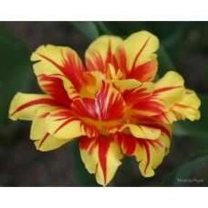 monsellla - Achizitii toamna 2017