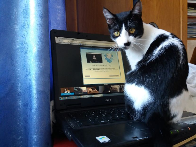  - Duracel în octombrie 2017