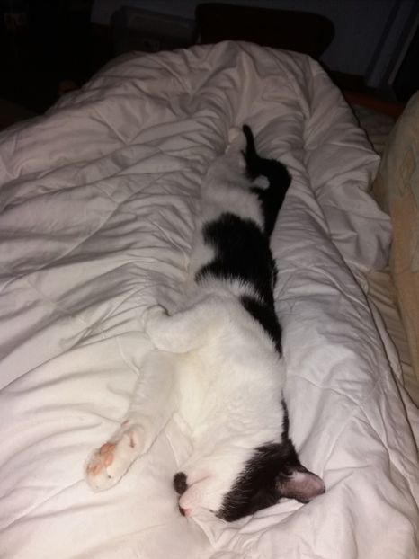  - Duracel în octombrie 2017