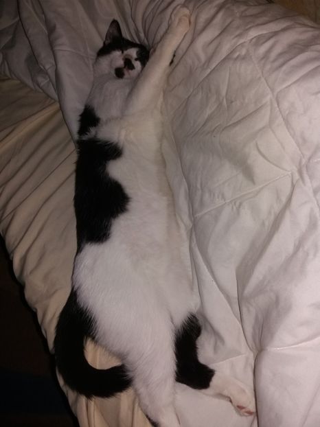  - Duracel în octombrie 2017