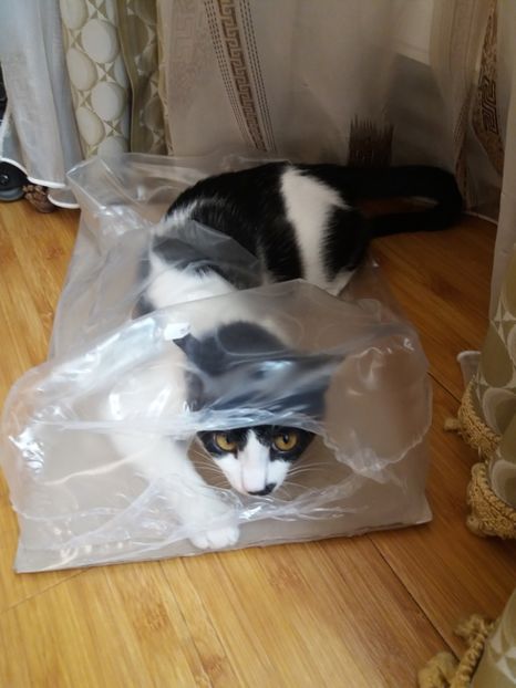  - Duracel în octombrie 2017