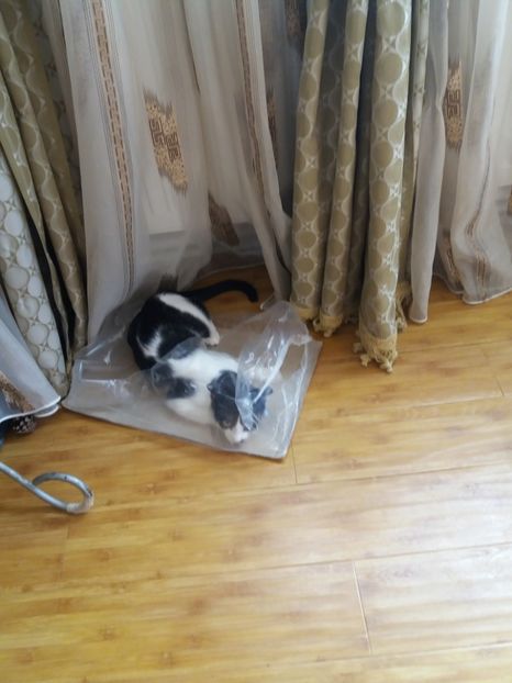  - Duracel în octombrie 2017