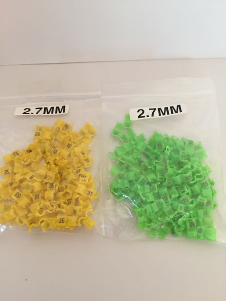  - 00001 Inele si Cleme Pasari Exotice 2018