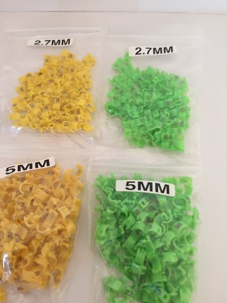  - 00001 Inele si Cleme Pasari Exotice 2018