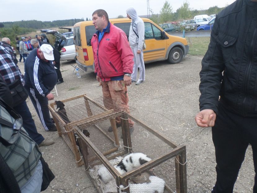 SAM_4545 - TIRG DE PASARI KRUSOVITA BULGARIA 2017-2018