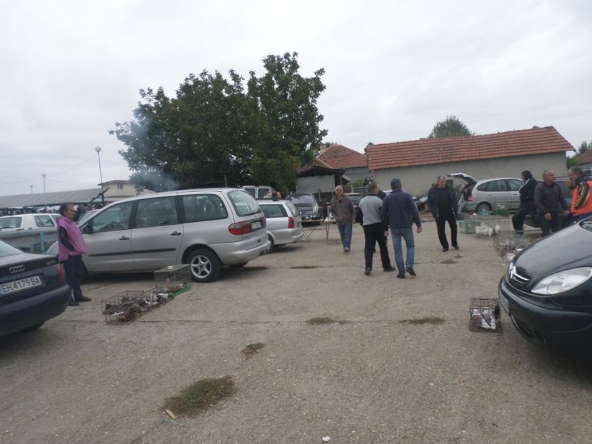 SAM_4547 - TIRG DE PASARI KRUSOVITA BULGARIA 2017-2018