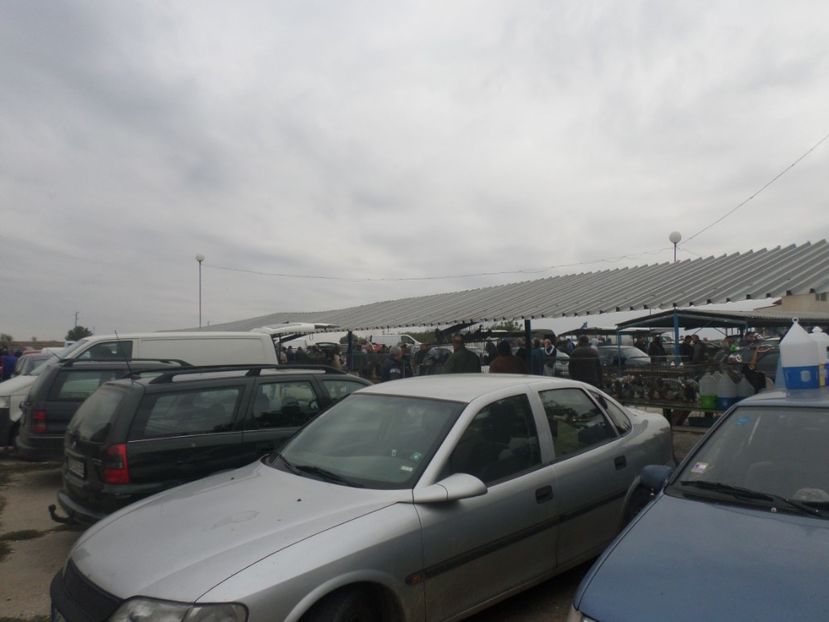 SAM_4552 - TIRG DE PASARI KRUSOVITA BULGARIA 2017-2018