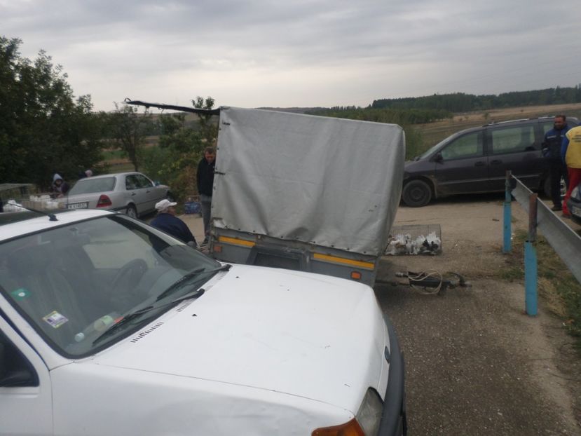 SAM_4557 - TIRG DE PASARI KRUSOVITA BULGARIA 2017-2018