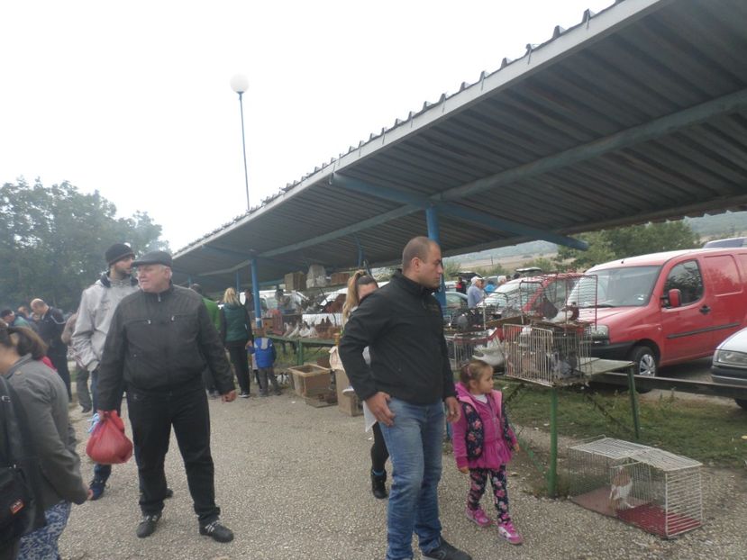 SAM_4562 - TIRG DE PASARI KRUSOVITA BULGARIA 2017-2018
