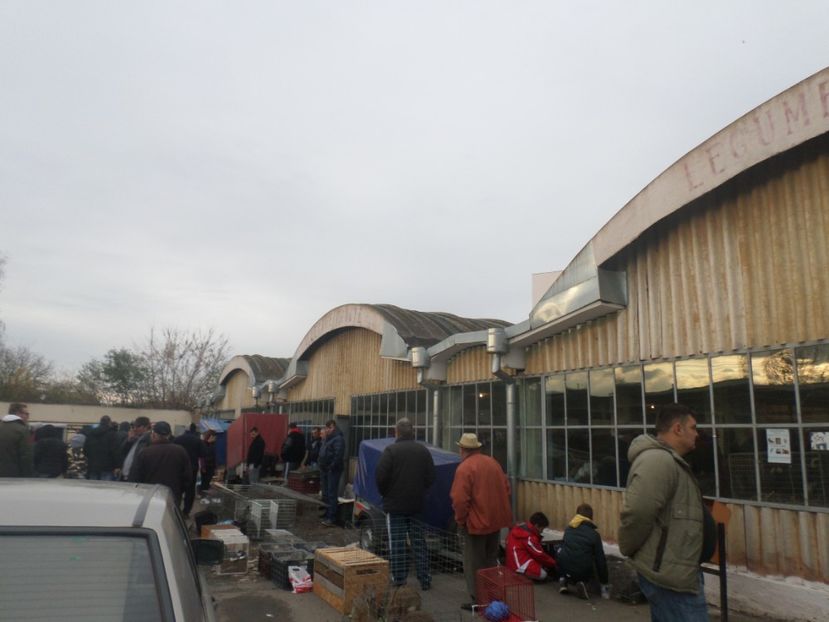 SAM_4580 - TIRG DE PASARI ORASTIE 29 OCT 2017