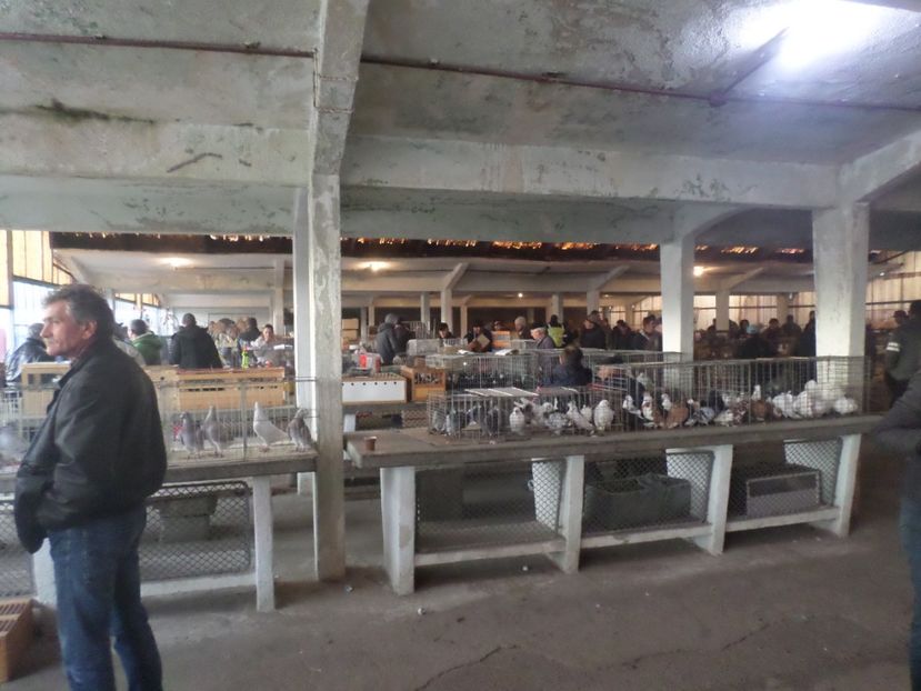 SAM_4583 - TIRG DE PASARI ORASTIE 29 OCT 2017