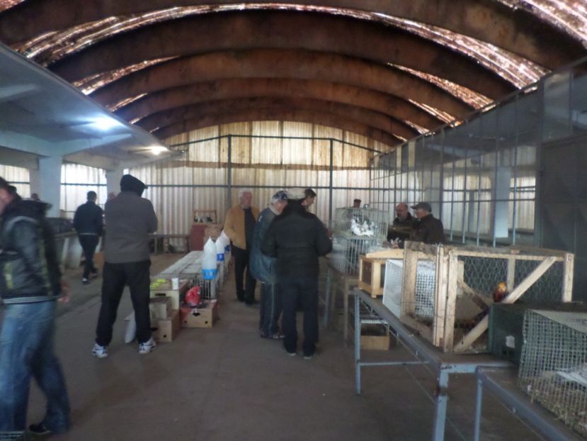 SAM_4584 - TIRG DE PASARI ORASTIE 29 OCT 2017