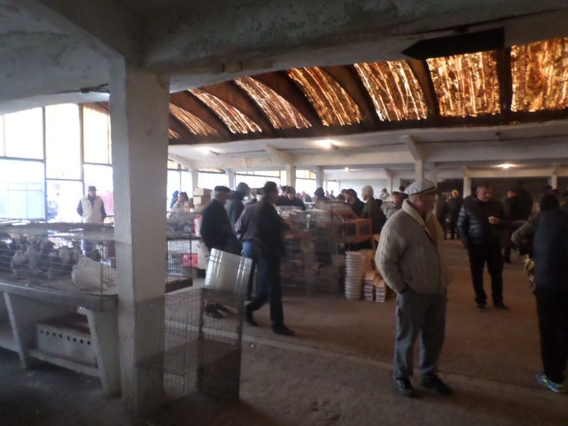 SAM_4586 - TIRG DE PASARI ORASTIE 29 OCT 2017