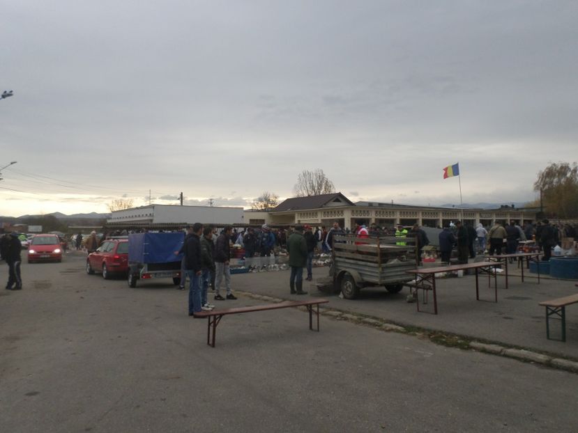 SAM_4587 - TIRG DE PASARI ORASTIE 29 OCT 2017