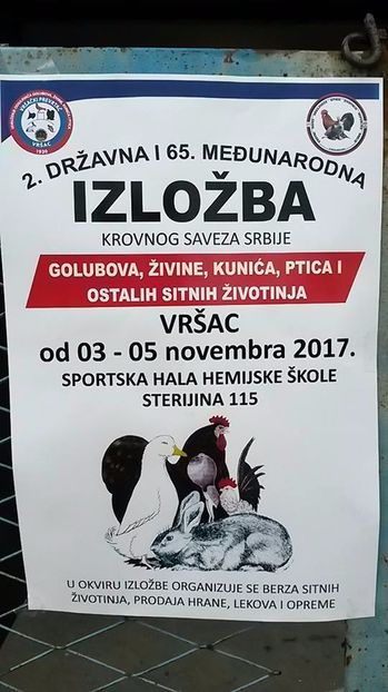  - T--TARGURI SI EXPOZITII