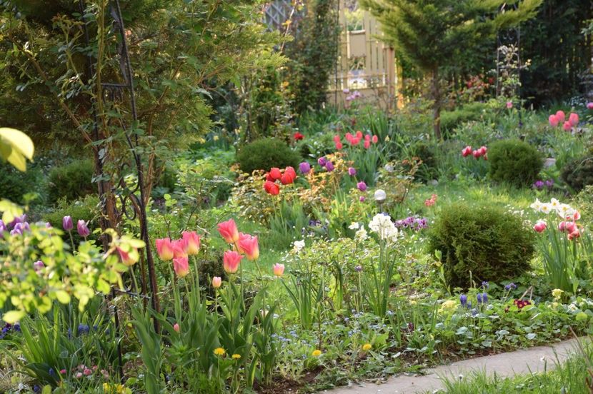 2017 - Z_FAVORITELE gradinii mele