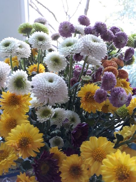 Buchet de Flori - Colectia mea