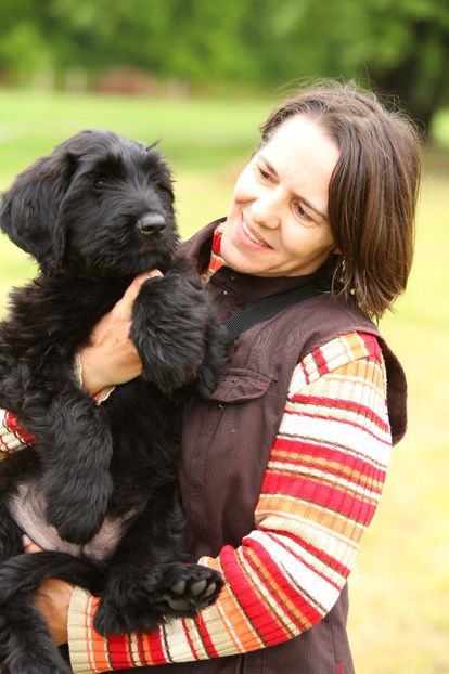 Ciobanesc de Brie BRIARD - BRIARD Ciobanesc de BRIE