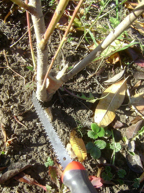 Fierăstrău MTX 4 - Fierăstrău MTX