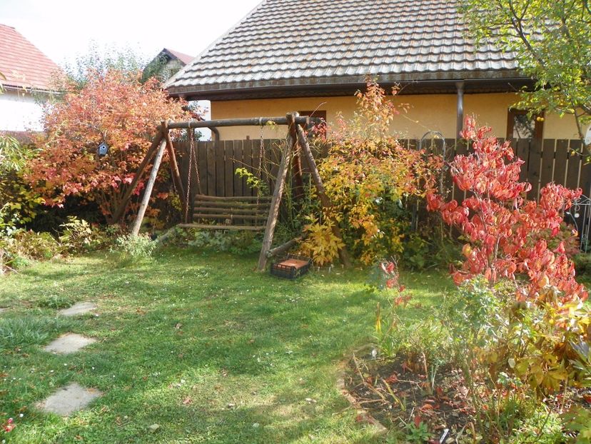 27 oct (17) - Gradina 2017