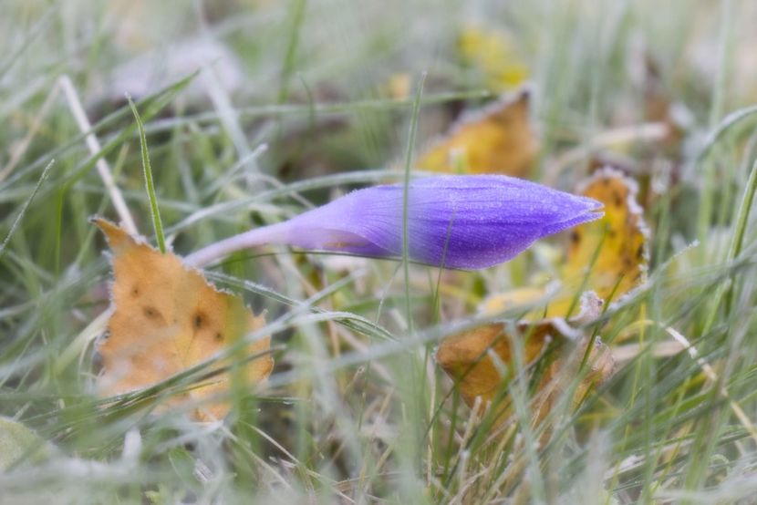  - Photo 11 - Toamna 2017