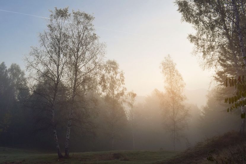  - Photo 11 - Toamna 2017