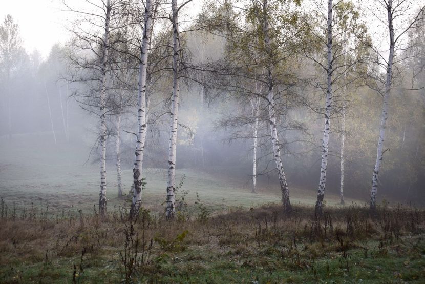  - Photo 11 - Toamna 2017