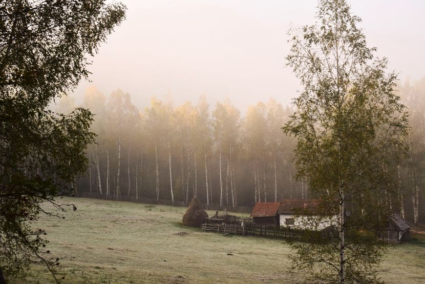  - Photo 11 - Toamna 2017