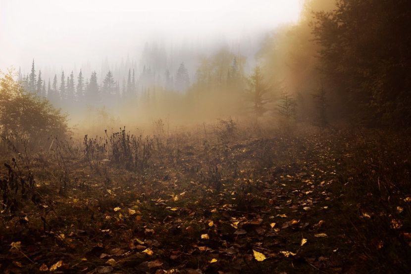  - Photo 11 - Toamna 2017