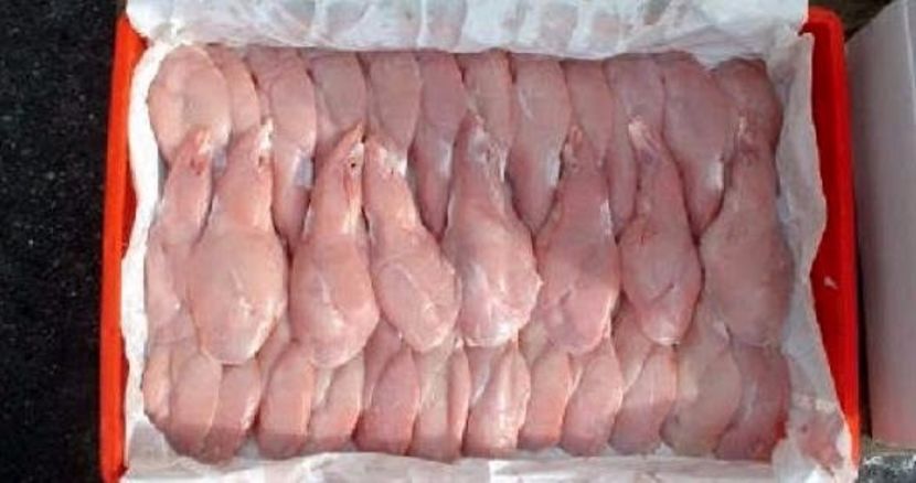 008-4 - Prenotari carne proaspata de iepure ! Bucuresti