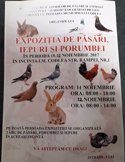 22886232_1760455167339605_3885323441441090041_n (2) - T--TARGURI SI EXPOZITII