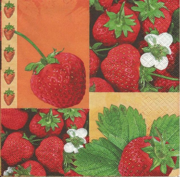 Scan0026 - Servetele cu fructe