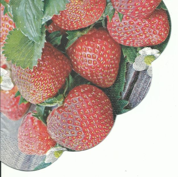 Scan0063 - Servetele cu fructe