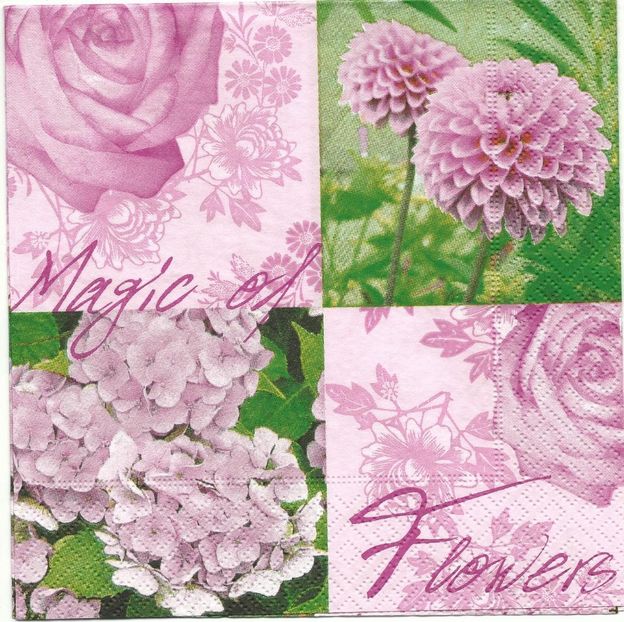 Scan0012 - Servetele cu flori si frunze