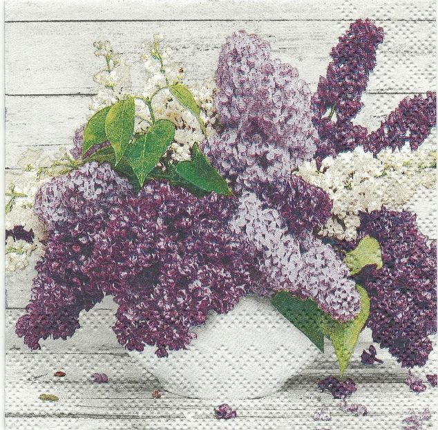 Scan0016 - Servetele cu flori si frunze