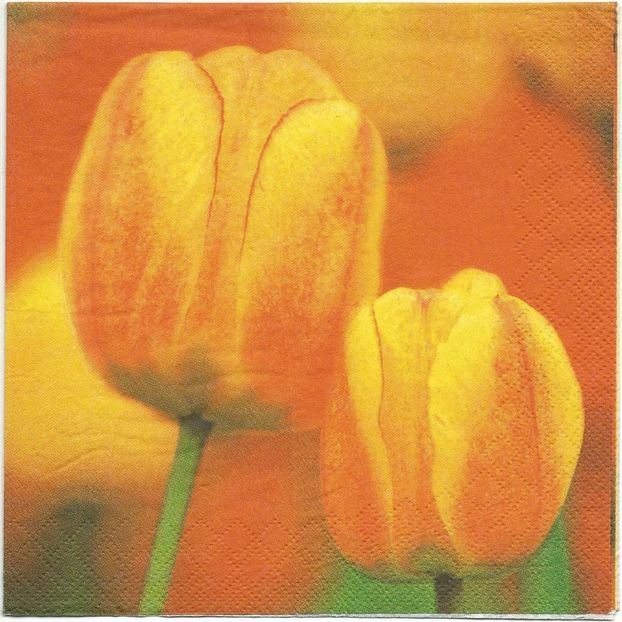 Scan0024 - Servetele cu flori si frunze