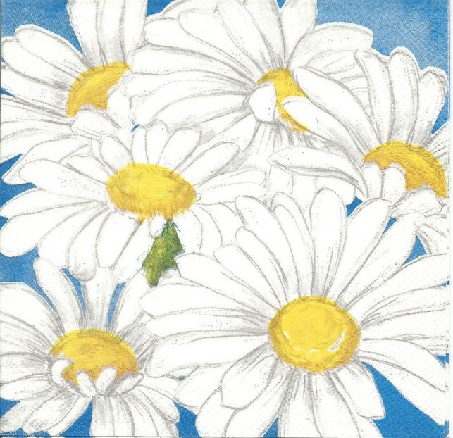 Scan0327 - Servetele cu flori si frunze