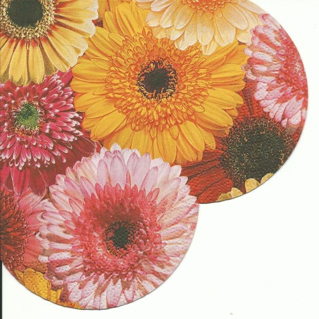 Scan0339 - Servetele cu flori si frunze