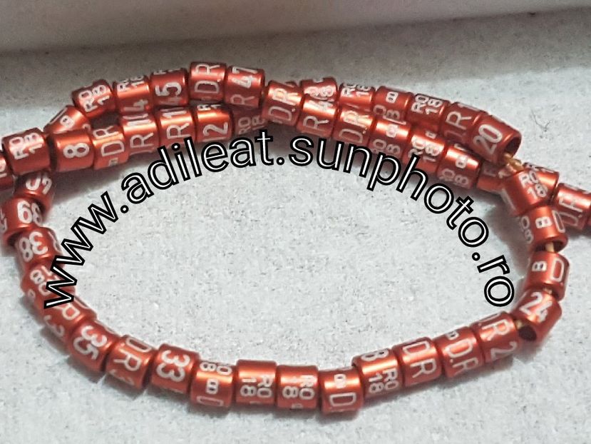 2017-11-01_20-01-44-970 - Inele pasari exotice Personalizate