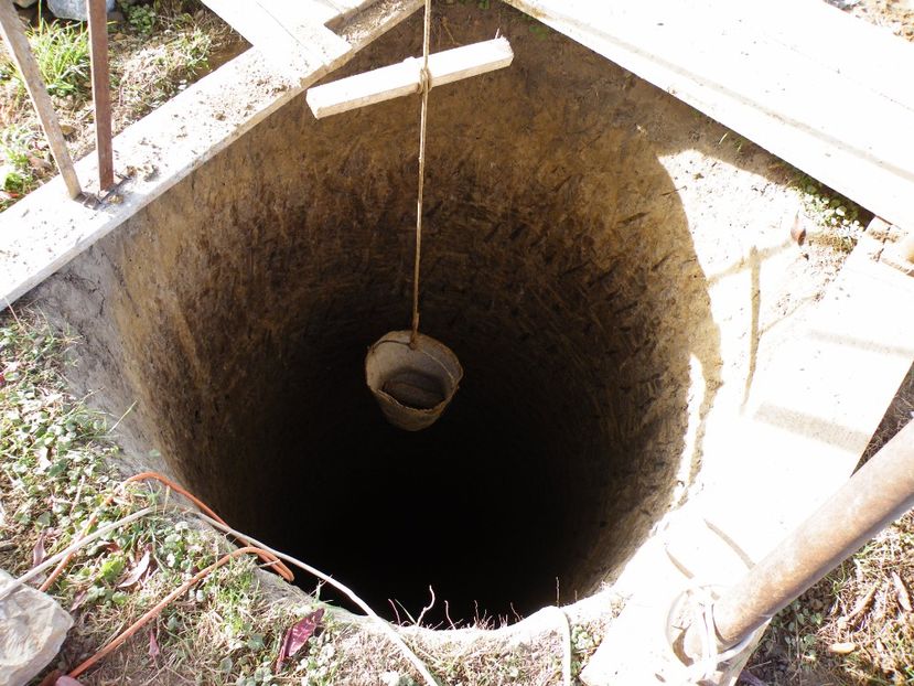 fantana - 2017 in gradina mea