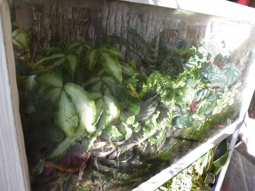  - Un nou proiect- miniterariu