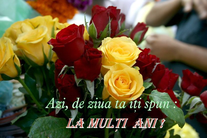 La multi ani ! - Felicitari pentru diverse zile