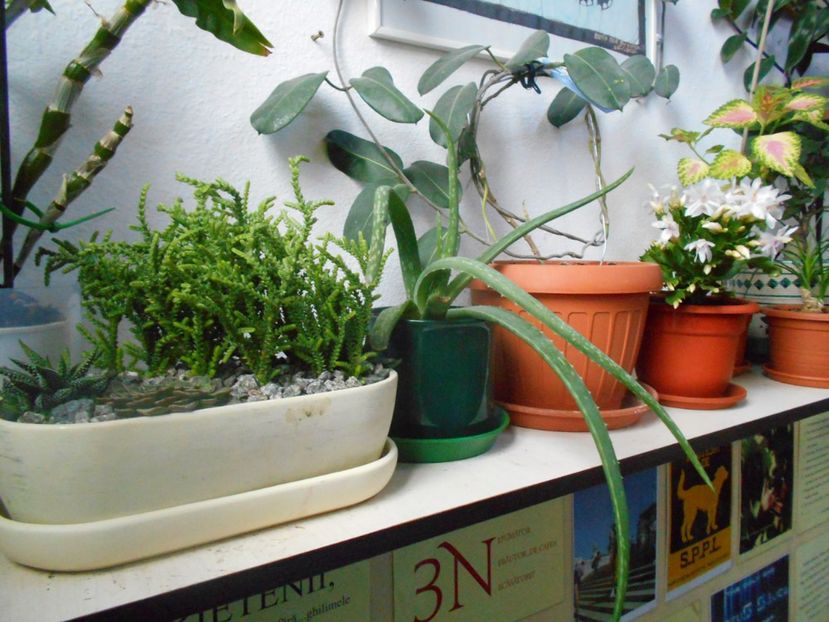  - Green office