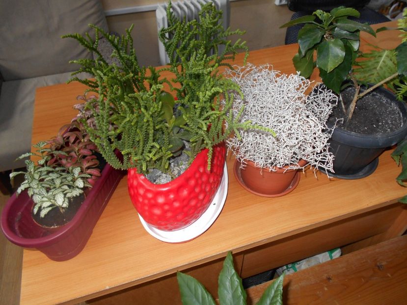  - Green office