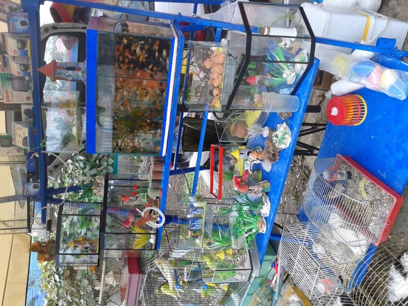 Fotografie0066 - 24---targ pancevo serbia 29 10 2017