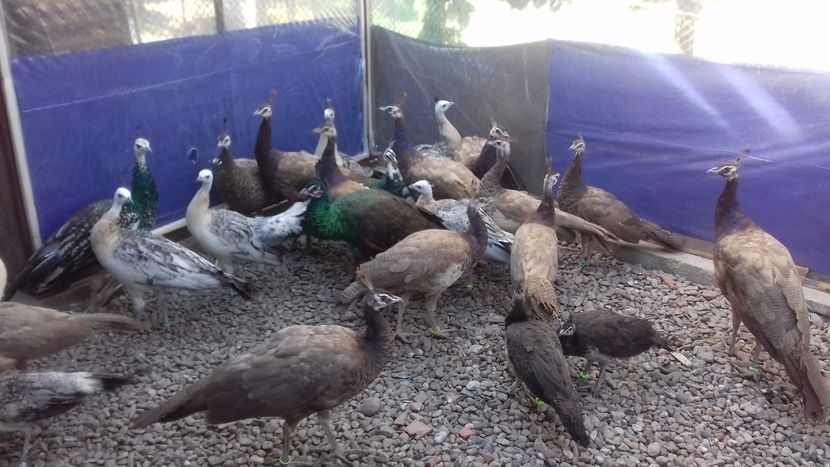  - zzzzzzzzzzzzzzzzz zzzzzzzzzzzzzz nu mai am