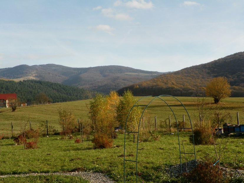2 nov (25) - Dobarland 2017 2