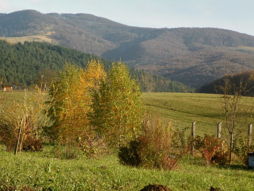 2 nov (39) - Dobarland 2017 2